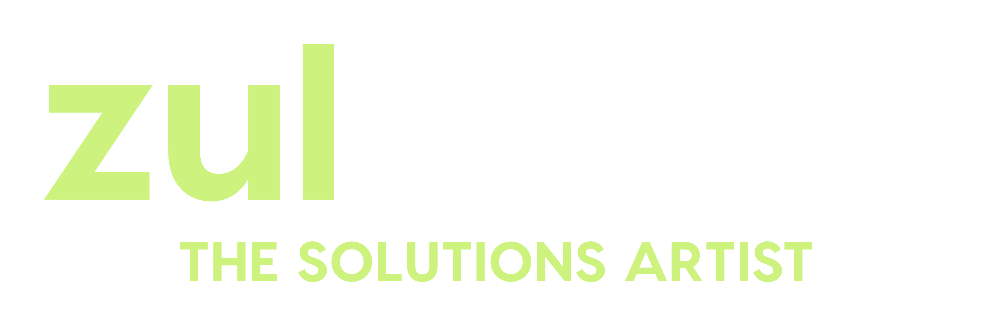 Zul Mehdi — The Solutions Artist logo